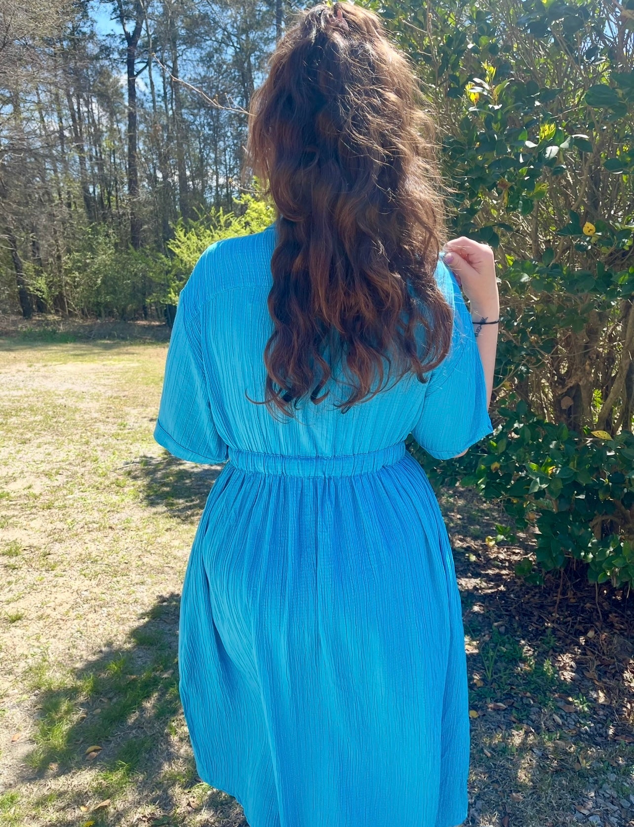 Picnic Date BLUE Dress